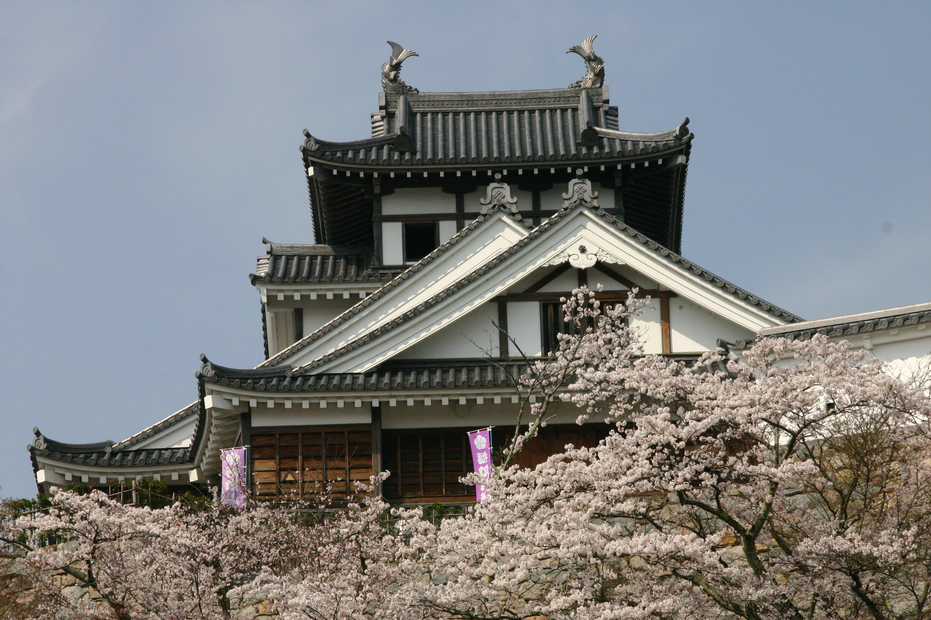 春の福知山城